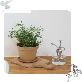 detail image1 Freefactory Flower Plant Pot with Drainage Holes and Saucer Tray(Medium/Moss Green)